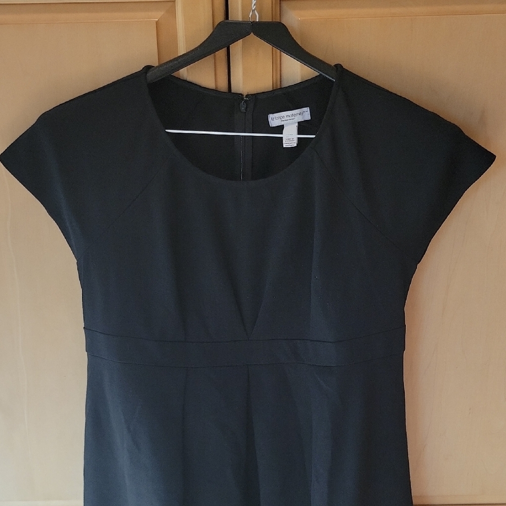 Liz Lange Maternity Elegant Black Dress